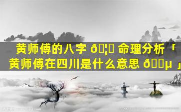 黄师傅的八字 🦄 命理分析「黄师傅在四川是什么意思 🐵 」